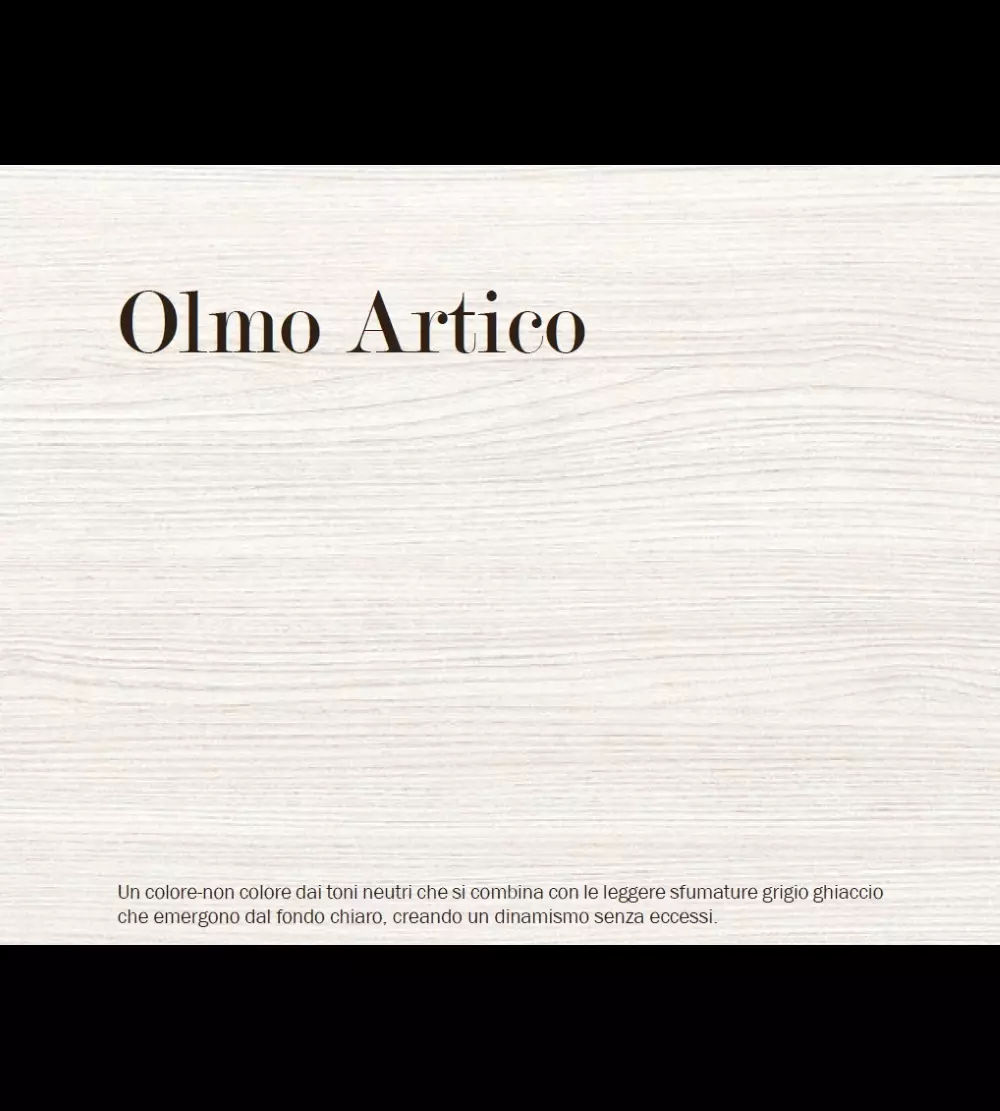 Porta MS Olmo Artico