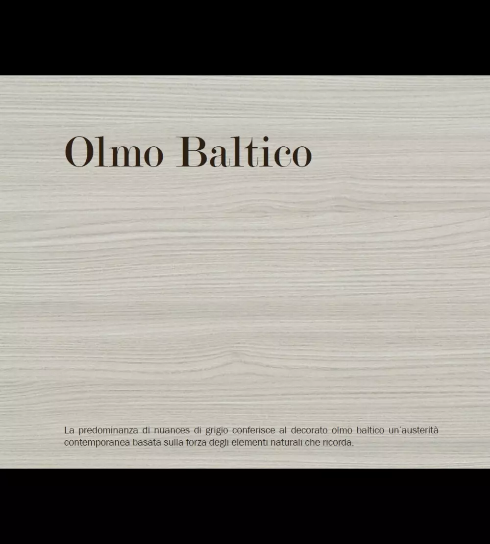 Porta MS Olmo Baltico