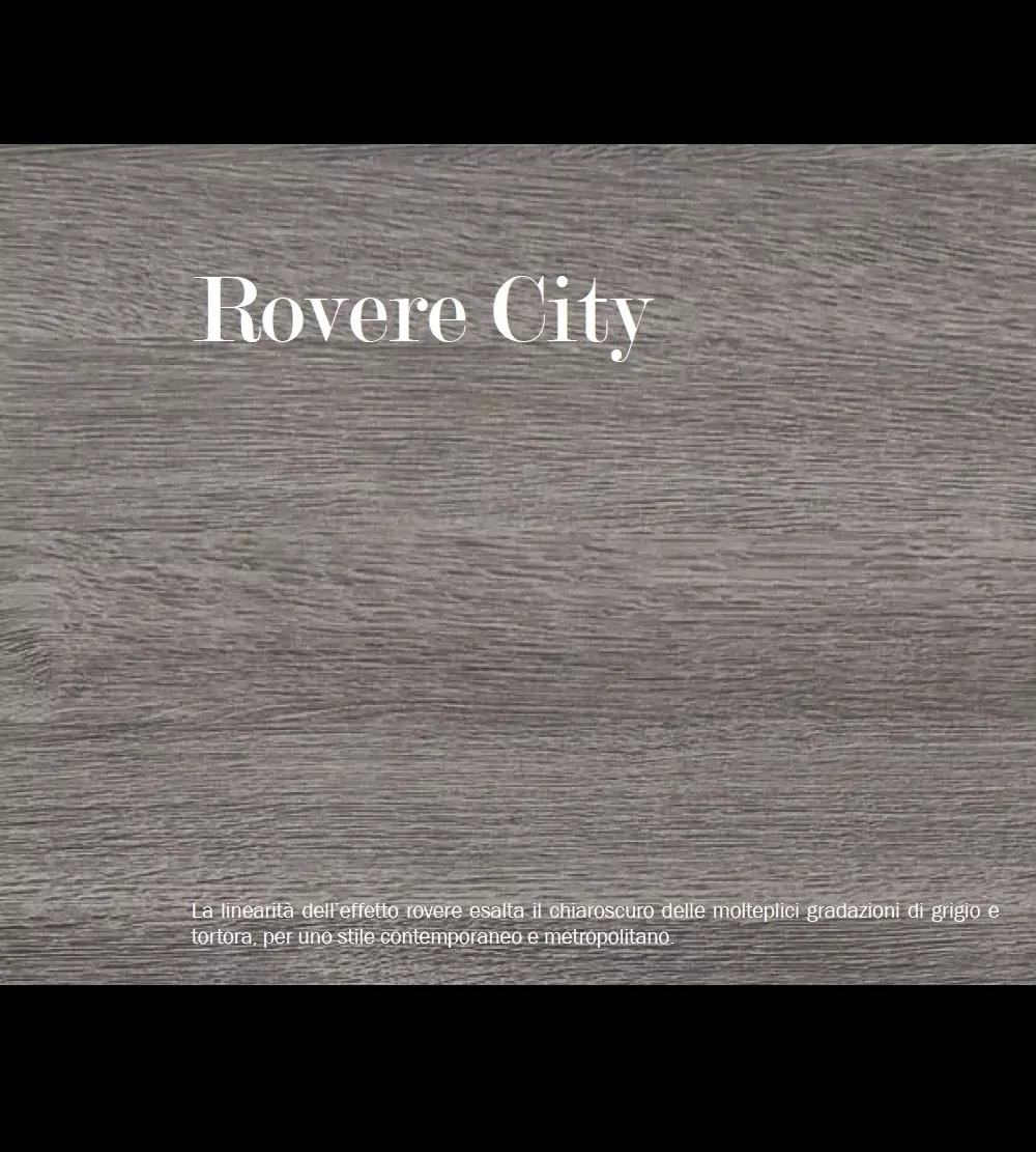 Porta MS Rovere City